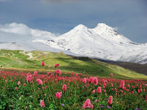 'Mountains of the Caucasus' von Mikhail  Pogosov