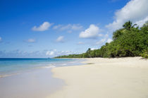 Sandy Beach of Caribbean Island von cinema4design