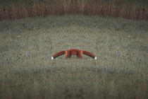 Portrait of a strange being with two fox tails and no head by Intensivelight Panorama-Edition