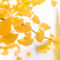Herbst-farbe-gelb2019-irynamathes-6512
