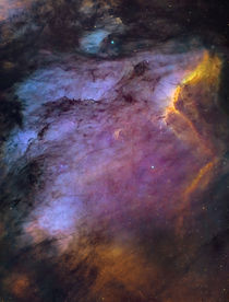 Pelican Nebula by Manuel Huss