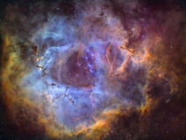 Rosette Nebula by Manuel Huss
