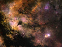 Sadr Nebula II by Manuel Huss