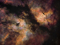 Sadr Nebula I by Manuel Huss