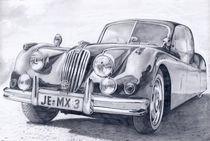 Der Jaguar aus Jena (Bleistiftzeichnung) by Martin Mißfeldt