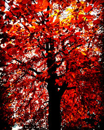 Tree of Flames von mimulux