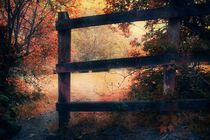 The Magic Of Autumn by CHRISTINE LAKE