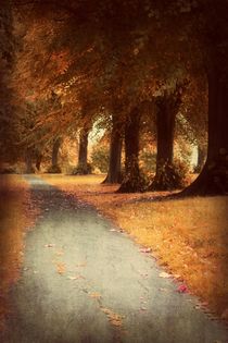 Walking Through Autumn von CHRISTINE LAKE