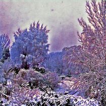 Winter in der Au by Egon Plandor