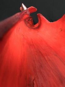 red Beauty - sculpture by Valentina Sullivan