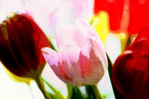 Tulpen in Form und Farbe by Petra Dreiling-Schewe