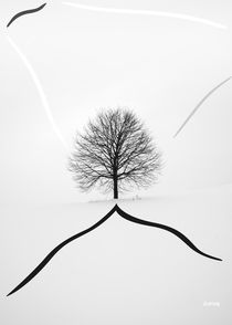 Tree on the Hill by zelko radic