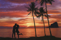 Romance in Paradise by Robert Deering