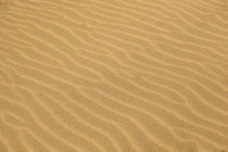 Close-Up Of Sand Background Texture by Vladimir Nenov