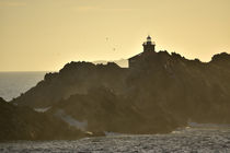 Insel mit Leuchtturm im Abendlicht von Tobia Nooke