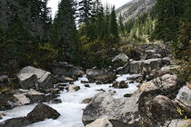 October Mountain Stream von michael-craige