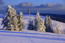 Winter auf dem Feldberg im Schwarzwald von Patrick Lohmüller