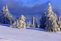 Schneebäume Feldberg im Schwarzwald von Patrick Lohmüller