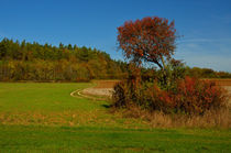 Herbst Landschaft von Iris Heuer