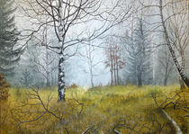 Herbstwald im Nebel von winter-frost-artwork