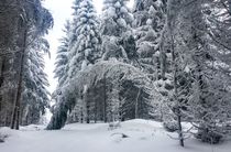 Winter's Gate von winter-frost-artwork