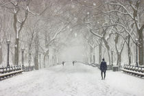 Winter Wonderland by Robert Deering