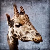 Retro Giraffe by kattobello