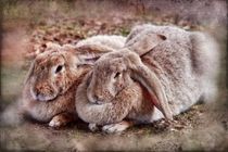 Retro zwei Kaninchen von kattobello