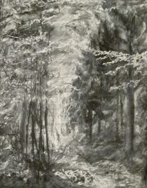 Waldweg by Annegret Hofmann