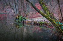 'Im Zauberwald der Pfalz , kleines Stauwehr am romantischen See' von Christine Maria Grosche