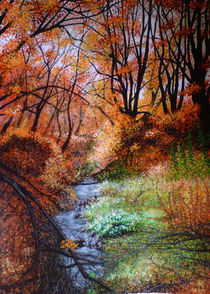 Bach im Herbstwald von winter-frost-artwork