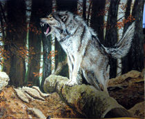 Wolf im Herbst by winter-frost-artwork