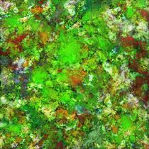 Slippery green rocks by Keith Mills