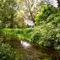 The-river-itchen