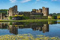 The Towers Of Caerphilly Castle by Ian Lewis