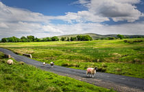 The Road To Caldbeck von Ian Lewis