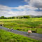 The-road-to-caldbeck