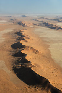 Dünen in der Namib von Dirk Rüter