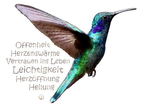 Kolibri-werte-wandbild