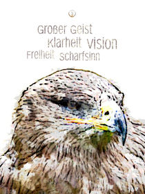 Krafttier Adler - Visionäre Weite von Astrid Ryzek