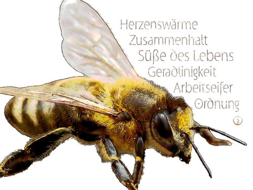 Biene-werte-wandbild