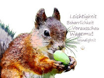 Krafttier Eichhörnchen - Vorausschauend und schwerelos by Astrid Ryzek