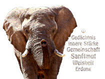 Krafttier Elefant - Innere Kraft und Stärke by Astrid Ryzek
