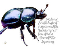 Krafttier Käfer - Lebe lieber ungewöhnlich von Astrid Ryzek
