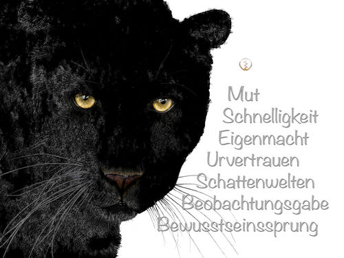 Leopard-schwarz-werte-wandbild