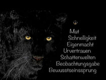 Krafttier schwarzer Panther - Jäger der Nacht by Astrid Ryzek