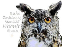 Krafttier Eule - Adler der Nacht by Astrid Ryzek