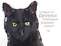 Krafttier Katze - sensibel und eigensinnig von Astrid Ryzek