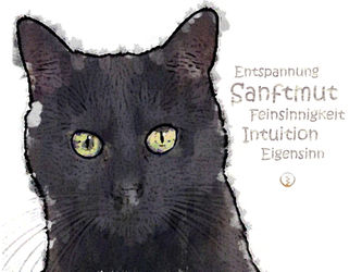 Katze-schwarz-werte-wandbild