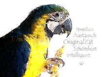 Krafttier Papagei - Königin des Austausches by Astrid Ryzek